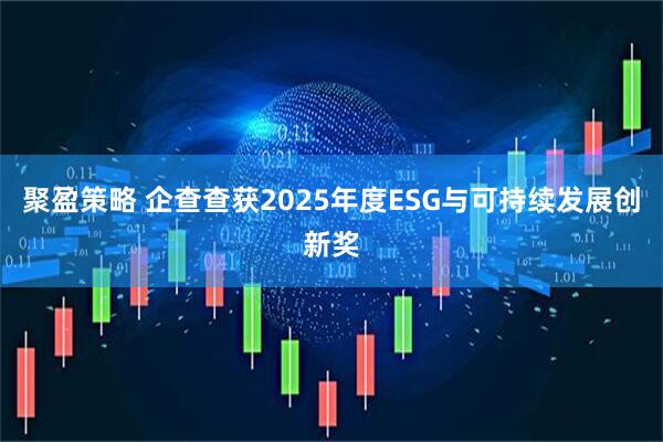 聚盈策略 企查查获2025年度ESG与可持续发展创新奖