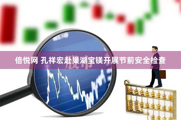 倍悦网 孔祥宏赴巢湖宝镁开展节前安全检查