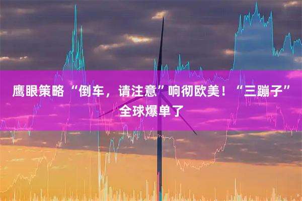 鹰眼策略 “倒车，请注意”响彻欧美！“三蹦子”全球爆单了