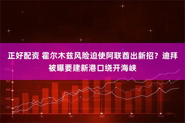 正好配资 霍尔木兹风险迫使阿联酋出新招?迪拜被曝要建新港口绕开海峡
