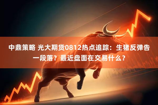 中鼎策略 光大期货0812热点追踪：生猪反弹告一段落？最近盘面在交易什么？